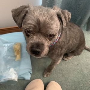 Meet your Posher, Nikki